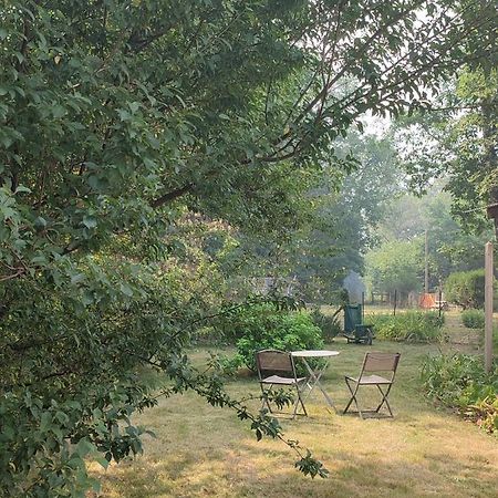Chalet Dans La Foret....Adorable 1 Bedroom Chalet Surrounded By Woodland Pressignac Exteriör bild